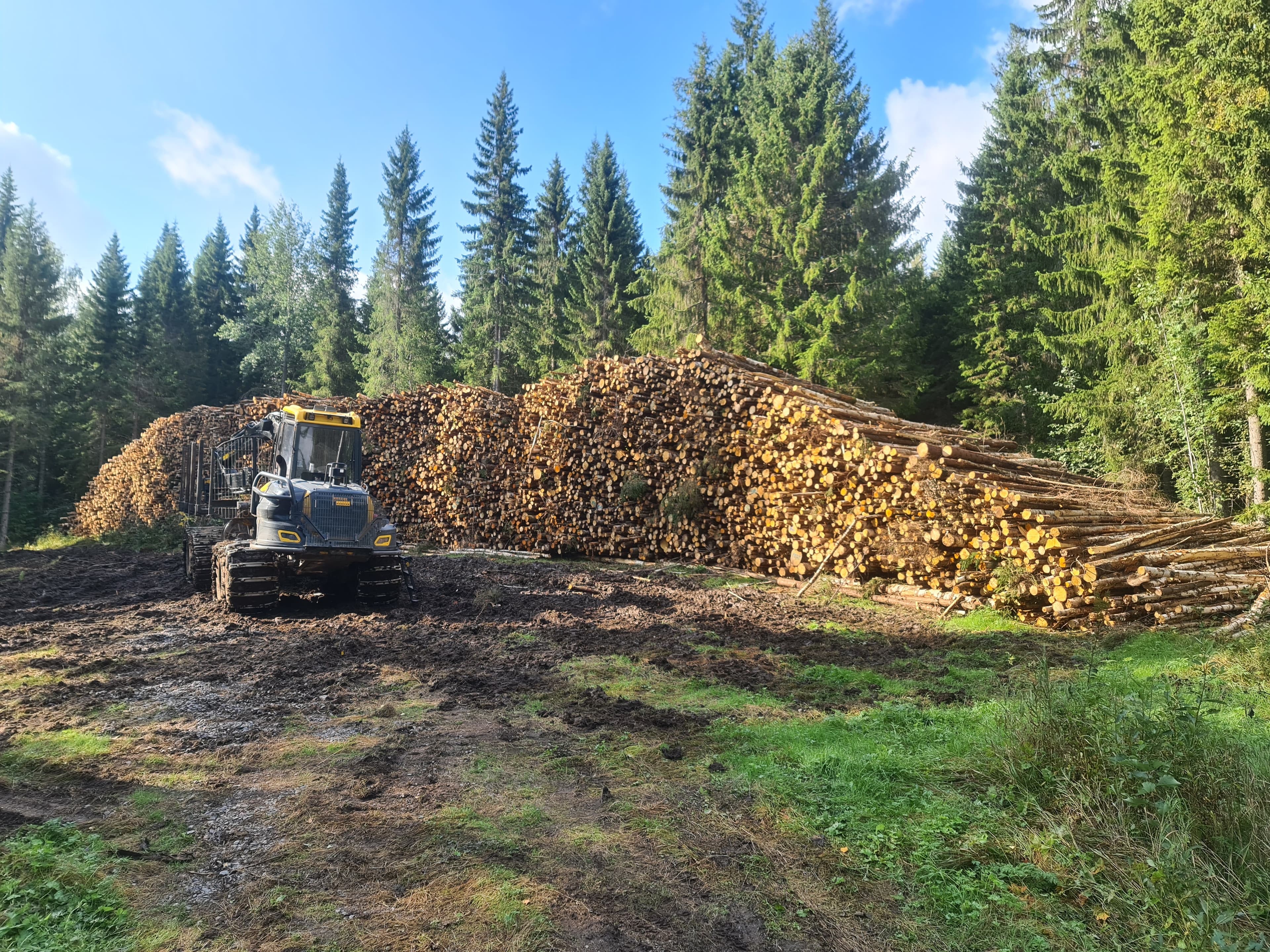 Karttulan Metsätyön rankakasat ja ajokone